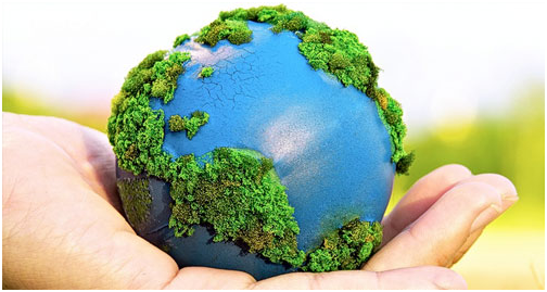 Día mundial del Medio Ambiente